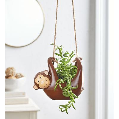 1-800-Flowers Plant Delivery Marty The Monkey Monkey Business Milo | Happiness Delivered To Their Door