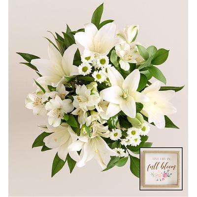 1-800-Flowers Birthday Delivery White Lily Bouquet W/ Sign