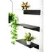 Everly Quinn 3 Piece Metal Accent Shelf Metal in Black | 3 H x 16 W x 7 D in | Wayfair 2E5BC98EC34C4EAC847BAFA02A792D1D