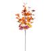 Vickerman 695272 - 34" Orange Fall Maple Leaf Spray 2/Bag (FQ221134) Home Office Picks and Sprays