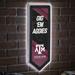 Texas A&M Aggies LED Wall Pennant