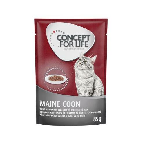 48x85 g Maine Coon Adult Ragout-Qualität Concept for Life Katzenfutter nass