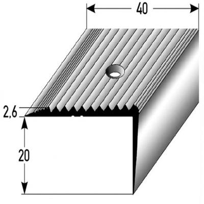 Treppenkante 20 x 40 x 1000 mm Treppenkantenprofil Treppenwinkel Winkelprofil Kombiwinkel Aluminium