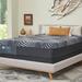 Full 14" Hybrid Mattress - Sealy High Point Soft | 53 W x 14 D in Wayfair 52776140