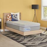 Twin Firm 13" Hybrid Mattress - Sealy Lacey | 74 H x 53 W 13 D in Wayfair 52779330