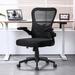 Inbox Zero Task Chair Plastic/Acrylic/Upholstered/Mesh in Black | 38.8 H x 24.2 W x 24.2 D in | Wayfair D477FF6A7AAE48F1953CFA2B2D1E05D2