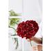 Primrue Real Touch Hydrangea Floral Arrangement in Vase Plastic in Red | 10 H x 11 W x 7 D in | Wayfair B49E2E3F29D84A4DAB03A6483D9AB870