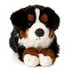 Uni-Toys - Berner Sennenhund, liegend - 38 cm (Länge) - Plüsch-Hund, Haustier - Plüschtier, Kuscheltier