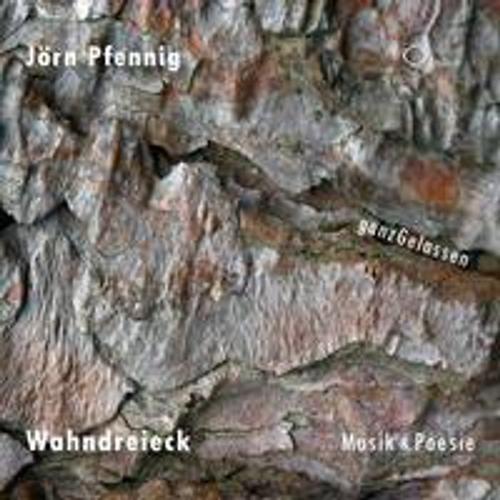 Wahndreieck - Musik & Poesie, 2 Audio-CD - Jörn Pfennig (Hörbuch)
