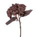 Vickerman 710265 - 13" Dk Brown Dried Hydrangea Spray 6/Bag (FM224015) Dried and Preserved Flowering Plants