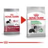 Royal Canin - cibo che i cani di dimensioni medium di cure digestive del canino reale (salute