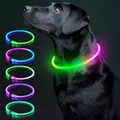 Collier lumineux pour chien et chat collier de sécurité lumineux à Led clignotant à la mode