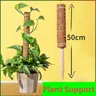 Poteau en fibre de coco pour plantes grimpantes support pour plantes grimpantes vignes et