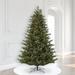 Vickerman 7.5' x 58" Welch Fraser Fir Artificial Christmas Tree, Warm White Dura-lit LED Lights