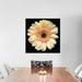 Red Barrel Studio® The High Noon Gerbera Photographic Print on Wrapped Canvas Paper, Cotton in Black/Brown/White | 16" H x 16" W x 1" D | Wayfair