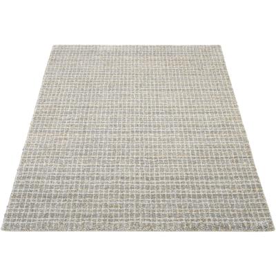 Teppich OCI DIE TEPPICHMARKE "NEW VILLA GEO", grau (grau, creme), B:240cm H:20mm L:290cm, Polypropylen, Teppiche, fein kariertes Design, Wohnzimmer Image