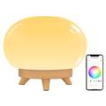 Linkind Smart Table Lamp,WiFi Bedside Lamp Compatible with Alexa and Google Home, RGBTW Colour Changing Lamp for Bedroom, Dimmable,1800K-6500K Tunable,App and Voice Activated, Night Lights,2.4GHz