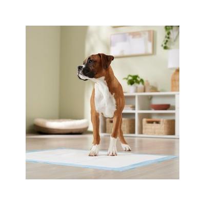 Frisco X-Large Premium Dog Training & Potty Pads, 28 x 34-in, Unscented, 150 count