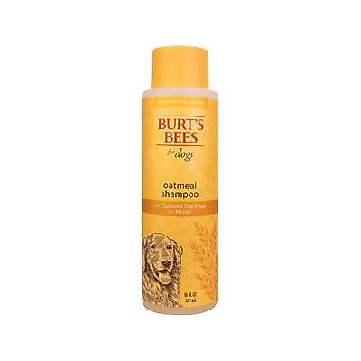 Burt's Bees Oatmeal Shampoo Colloidal Oat Flour & Honey for Dogs, 16oz