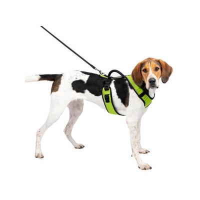 PetSafe EasySport Nylon Reflective Back Clip Dog Harness, Apple, Large: 29 to 43-in chest