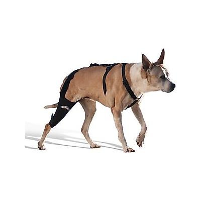 WALKABOUT Dog & Cat Knee Brace, Black, Small Right