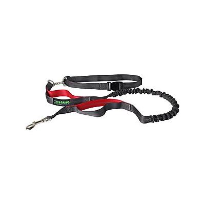 Jespet Bungee Reflective Standard Dog Leash, Red
