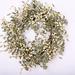 The Holiday Aisle® 22" Twig Wreath Most Realistic Faux/Wood/Twig in Green/White | 22 H x 22 W x 5 D in | Wayfair 02700E22187B45EC8EE9C4C54EFA93C8