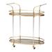 Nakano Contemporary Glam and Luxe Gold Metal and Mirrored Glass 2-Tier Wine Cart