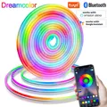 Dreamcolor-Bande Lumineuse Néon LED RGBIC Corde Lumineuse Imperméable Effet de html Multicolore