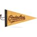 Baltimore Orioles 7" x 12" Wood Pennant