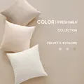 Juste de coussin en velours blanc pour salon taie d'oreiller décorative pour canapé et voiture