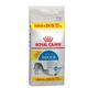 10kg Indoor 27 Royal Canin Croquettes pour chat + 2 kg offerts !