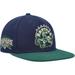 Men's Mitchell & Ness Navy/Green Toronto Raptors Hardwood Classics Grassland Fitted Hat