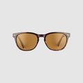 Eddie Bauer Langley Polarized Sunglasses - Tortoise - ONE SIZE