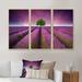 Ebern Designs Lavender Field Sunset w/ Single Tree - Floral Framed Canvas Wall Art Set Of 3 Canvas, Wood in White | 28 H x 36 W x 1 D in | Wayfair