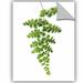 Gracie Oaks Ayleene Green Maidenhai Removable Wall Decal Vinyl in Green/White | 18 H x 14 W in | Wayfair C3B93BD94F1B496AACB5FFF5B926FF6D