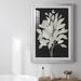 Red Barrel Studio® Misty Branches I Premium Framed Print - Ready To Hang Paper, Solid Wood in Black/White | 30.5 H x 22.5 W x 1 D in | Wayfair