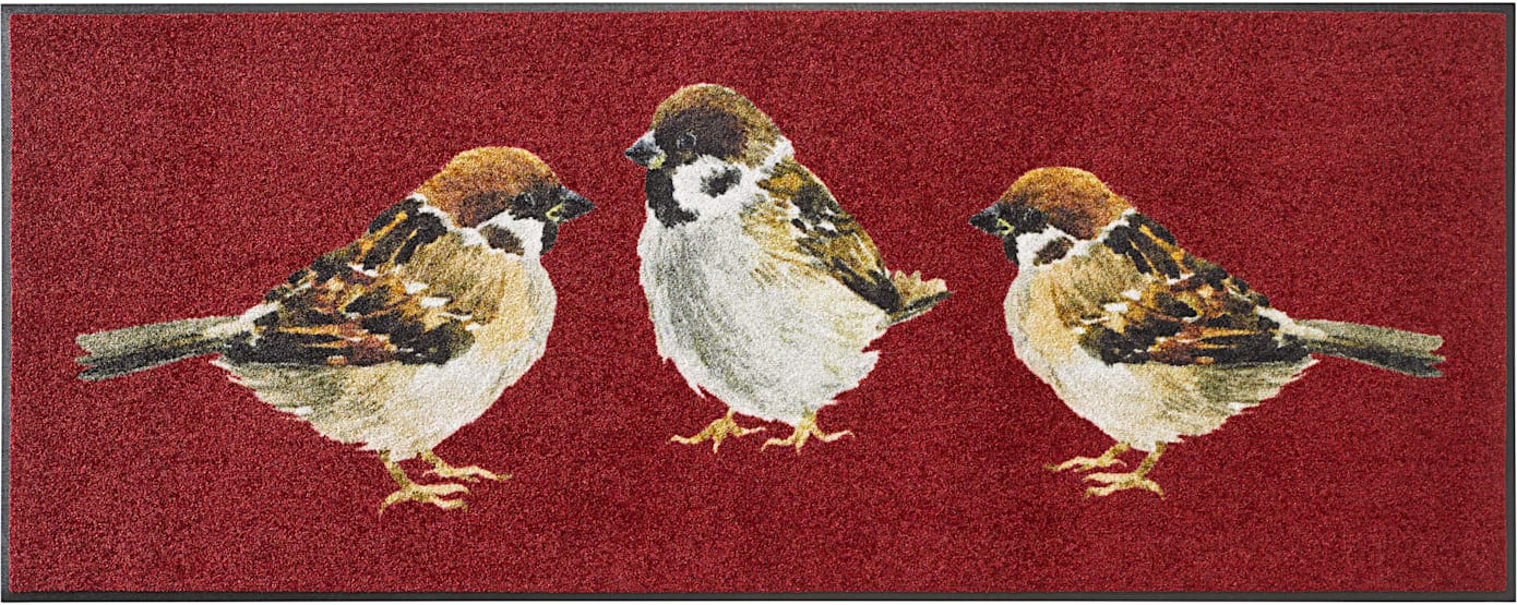 Card image cap