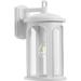 Progress Lighting 1-Light Coastal Satin Outdoor Wall Lantern w/ DURASHIELD Plastic in White | 14.125 H x 7.5 W x 8.5 D in | Wayfair P560088-028