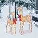 The Holiday Aisle® 2 Piece Christmas Deer Family Lighted Display Set Metal in Yellow | 39.75 H x 27.1 W x 10.5 D in | Wayfair