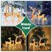 The Holiday Aisle® 3 Piece Christmas Deer Family Lighted Display Set Metal in Yellow | 65 H x 25 W x 37.8 D in | Wayfair