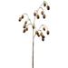 Vickerman 28 Artificial Green and Brown Acorn Spray. Includes 4 sprays per pack.