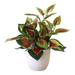 Artificial Potted Plant Leaves Simulation Leaves Home Office Desktop Greening Wedding Partition Decoration Home Decoration plant type 15 & 15