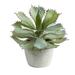 Nearly Natural 11in. Succulent Artificial Plant