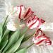 Travelwant 3Packs Artificial Tulips Flowers Real Touch Flowers Artificial Tulip Silk Flowers for Chirstmas Holiday Home Decorations Centerpieces Arrangement Wedding Bouquet