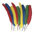 Creativity Street Quill Feathers - Multipurpose - 24 Piece(s) - 24 / Pack - Multicolor | Bundle of 10 Packs