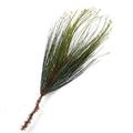 Factory Direct Craft Gold Glitter Tipped Wispy Pine Stems | Set of 12