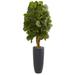 Nearly Natural 5.5ft. Fiddle Leaf Artificial Tree in Gray Cylinder Planter Green