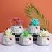 Travelwant Artificial Succulent Plants in Pots - Assorted Fake Succulents - Mini Succulent Plants - Small Succulent Plants for Window Sills Bathrooms Office Spaces and More