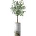 Artificial Tree in Modern Granite Effect Planter Fake Eucalyptus Silk Tree for Indoor and Outdoor Home Decoration - 66 Overall Tall (Plant Pot Plus Tree)